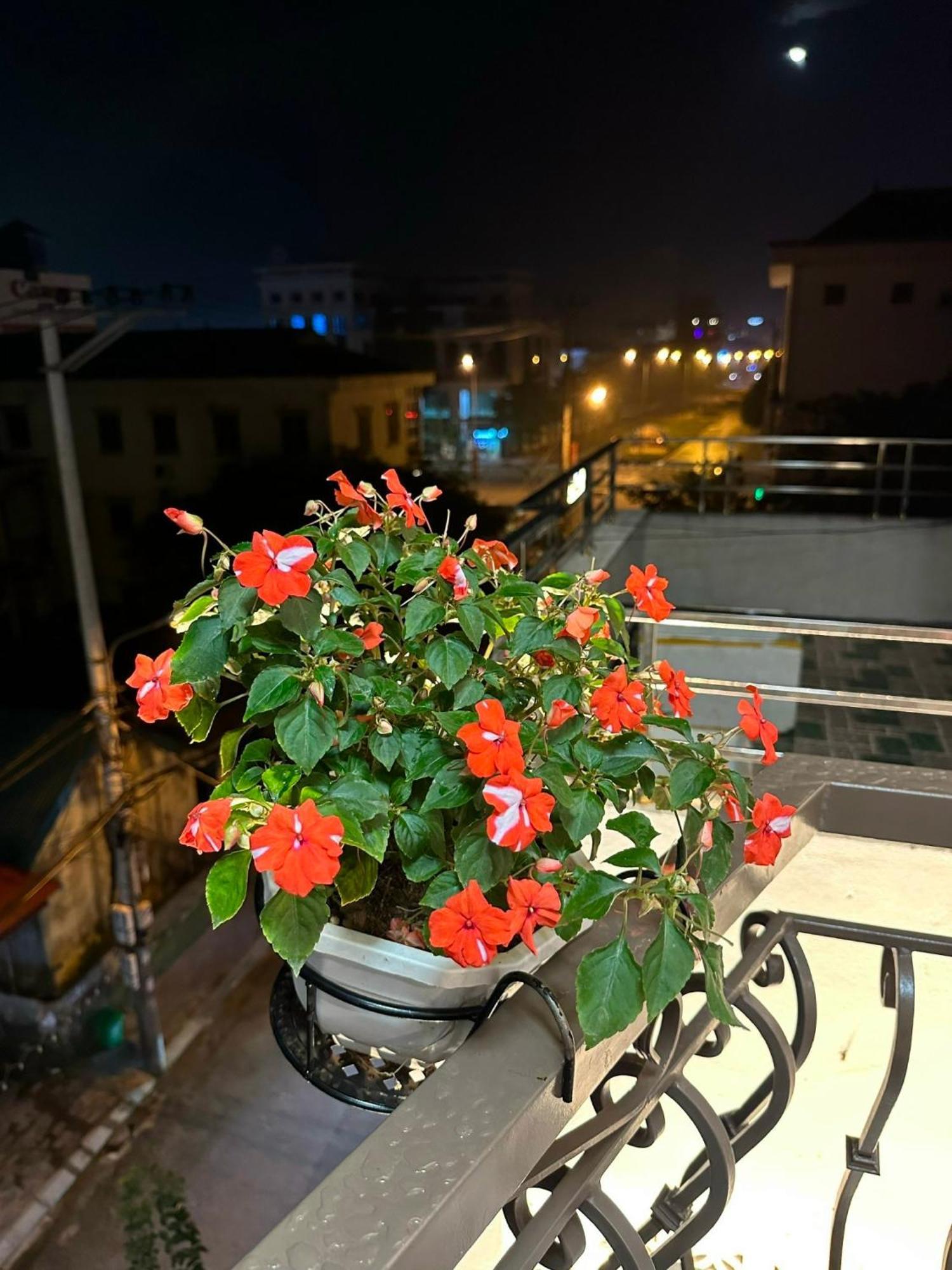 Dolce Mia Home Ninh Binh Exterior foto